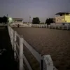 mininodointerior0