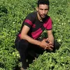 user871668787
