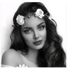 asil_dz