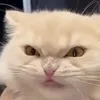 motngaybinhan0