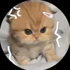 dinhhuy264