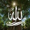 nabihabouhlel