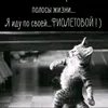 pycckuu8
