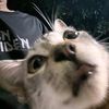 sogy_jhanck20