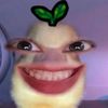 amypng
