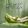 nomannaimat6