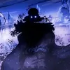 cp0.8