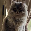 miti_fluffy69
