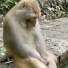 rogerkkkkkkkj