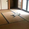 yukitamu3