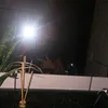 liviasantosfreire88