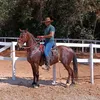 Warlei lopes 🇧🇷🐎