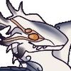 hcdragoncat