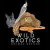 wildexoticsanimalrefuge