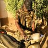 الريح محمد ضياء