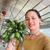 Nguyễn Hường 22 -tuyên Quang
