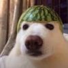 glenndoom_