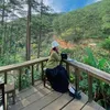 thonglee231