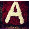 albakely