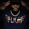 fligh_23