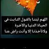 safighamdi