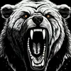 bjornn13