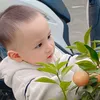 son_bee_2022