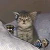 tryinout3rdy