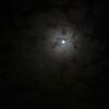 badr_350