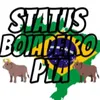 statusboiadeiro09