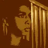diegosnepo