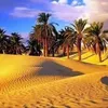 ziban07dz