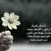 user536762970029