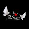 adnan.ali24976