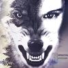 🐺ТАНЮХА 🐺