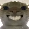 requerintsz