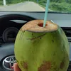 mirllamikaella