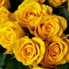 msaed_80