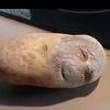 potatocringe2