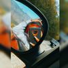 cinty_r0
