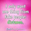 shay_mhd1