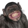 funnymonkeychimp