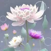 thang558.com
