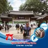 haidang_123450