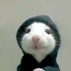 pauwiiikan