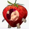dolly.xqz62