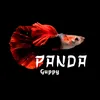 Panda Guppy
