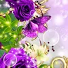 naziahussain902