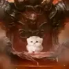 _ko_ko_ba_yo_