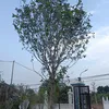 duongdo144
